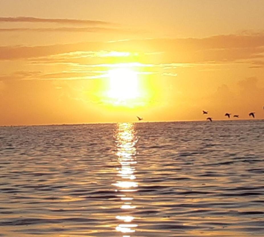 Vila Waddenfestijn Paesens Exteriér fotografie